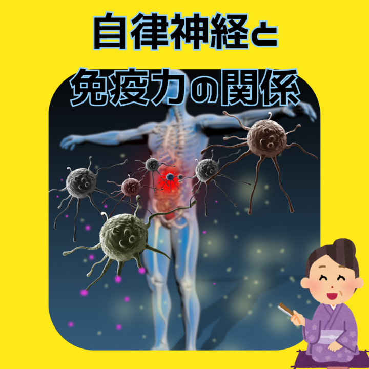 自律神経と免疫力の深い関係の画像
