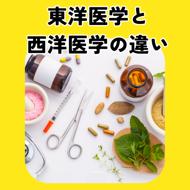 東洋医学と西洋医学の違い漢方・気・経絡とは？の画像