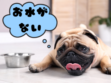 水分不足による症状