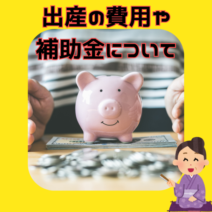 妊娠時の不安、出産の費用や補助金についての画像