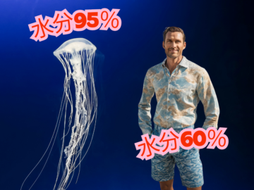 人間は体の60%が水分