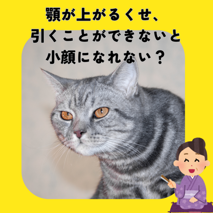 顎が上がるくせ、引くことができないと小顔になれない?の画像