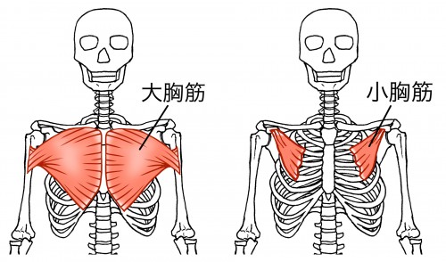 巻肩急増中！