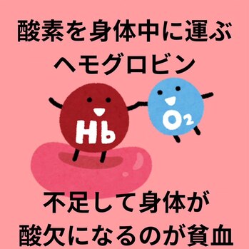 貧血とうまく付き合うために