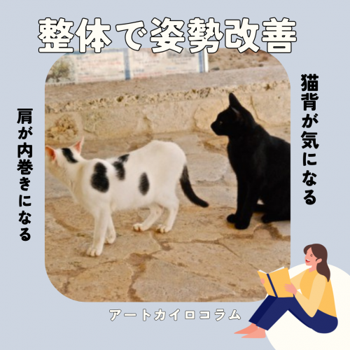 コラム：猫背改善の画像